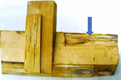 Herausgearbeiteter Resonanzboden an der Unterseite des Kämpferwiderlagers 