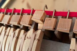 Belederter Hammerstiel-Schnabel und Auslöser