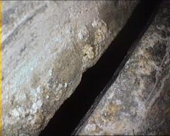 Kern und Oberlabium Korrosionsspuren