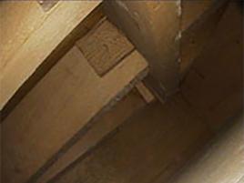 Endoskopaufnahme; erkennbar die starken Verstrebungen