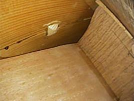 Endoskopaufnahme; Eingriff von 1975