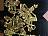 Aufgetragenes Blattgold; Cembalo Vater 1738